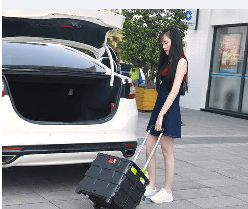 Car Trunk Organizer